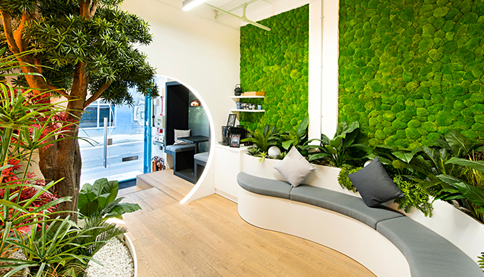 上海办公室装修绿植的设计施工方案是怎样的？    